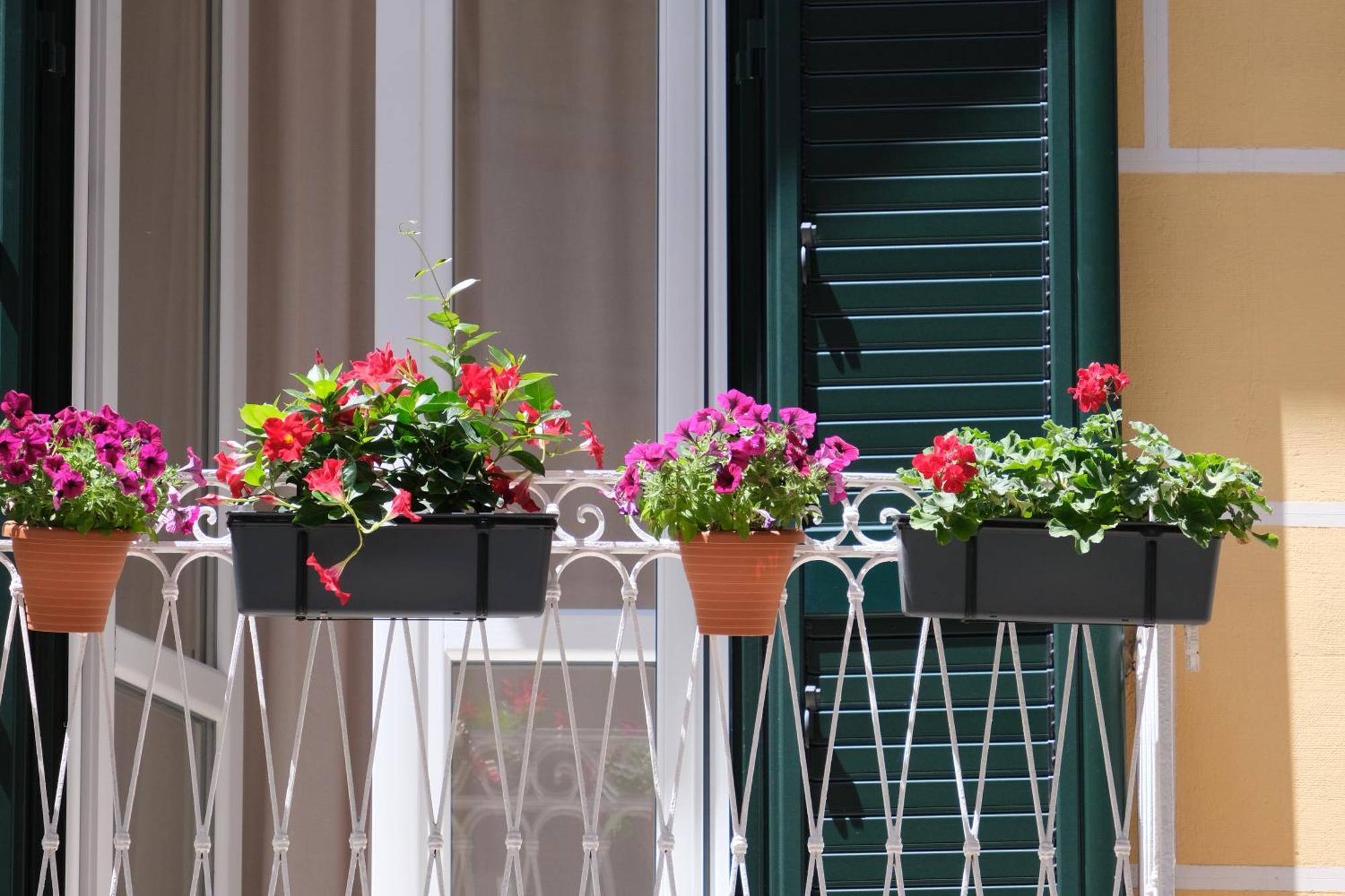 Il Poggiolo Fiorito Hotel ตารันโต ภายนอก รูปภาพ